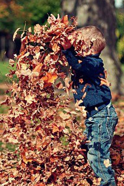 herbst_laub_kind